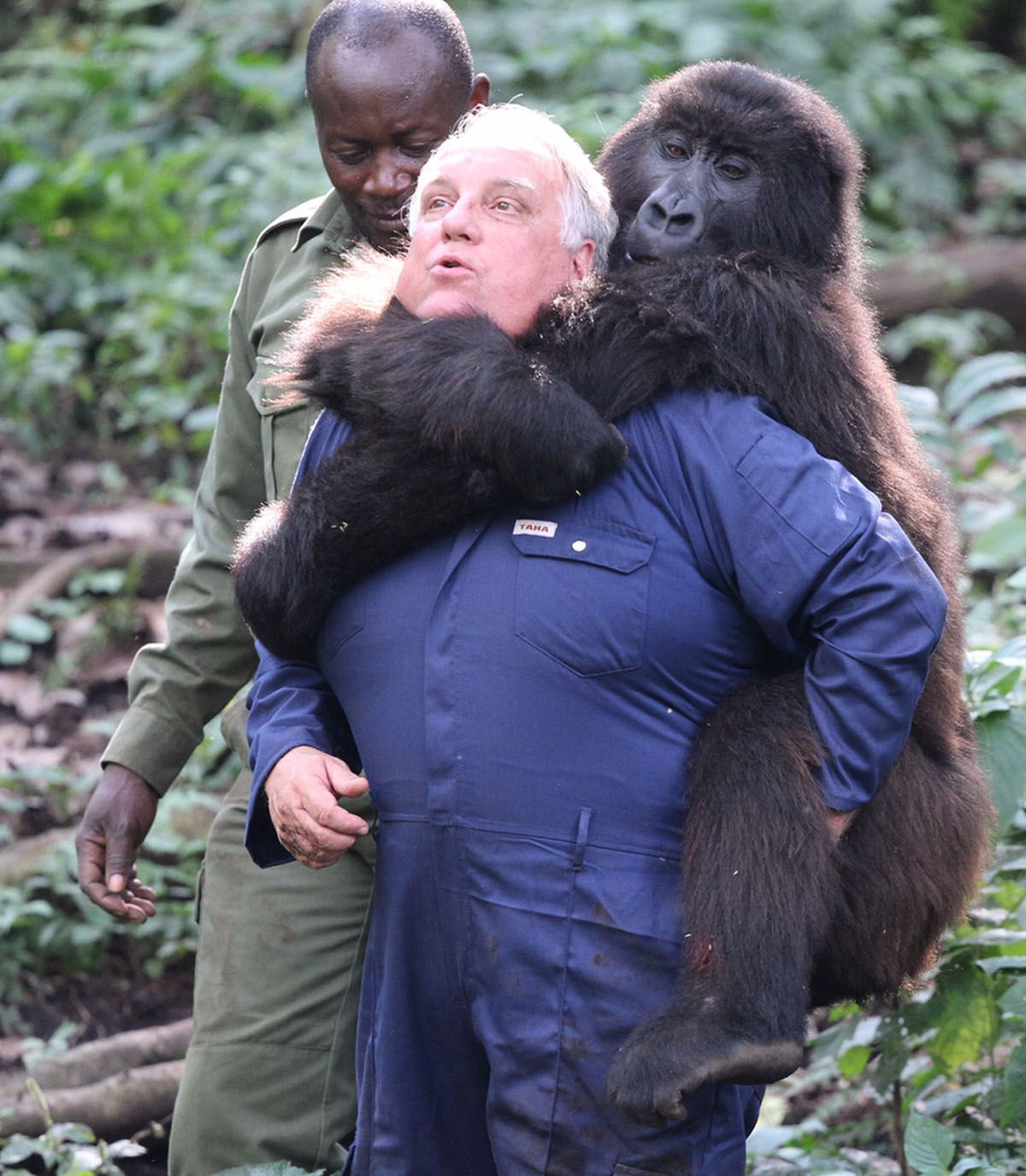 5 Buffet with gorilla.JPG